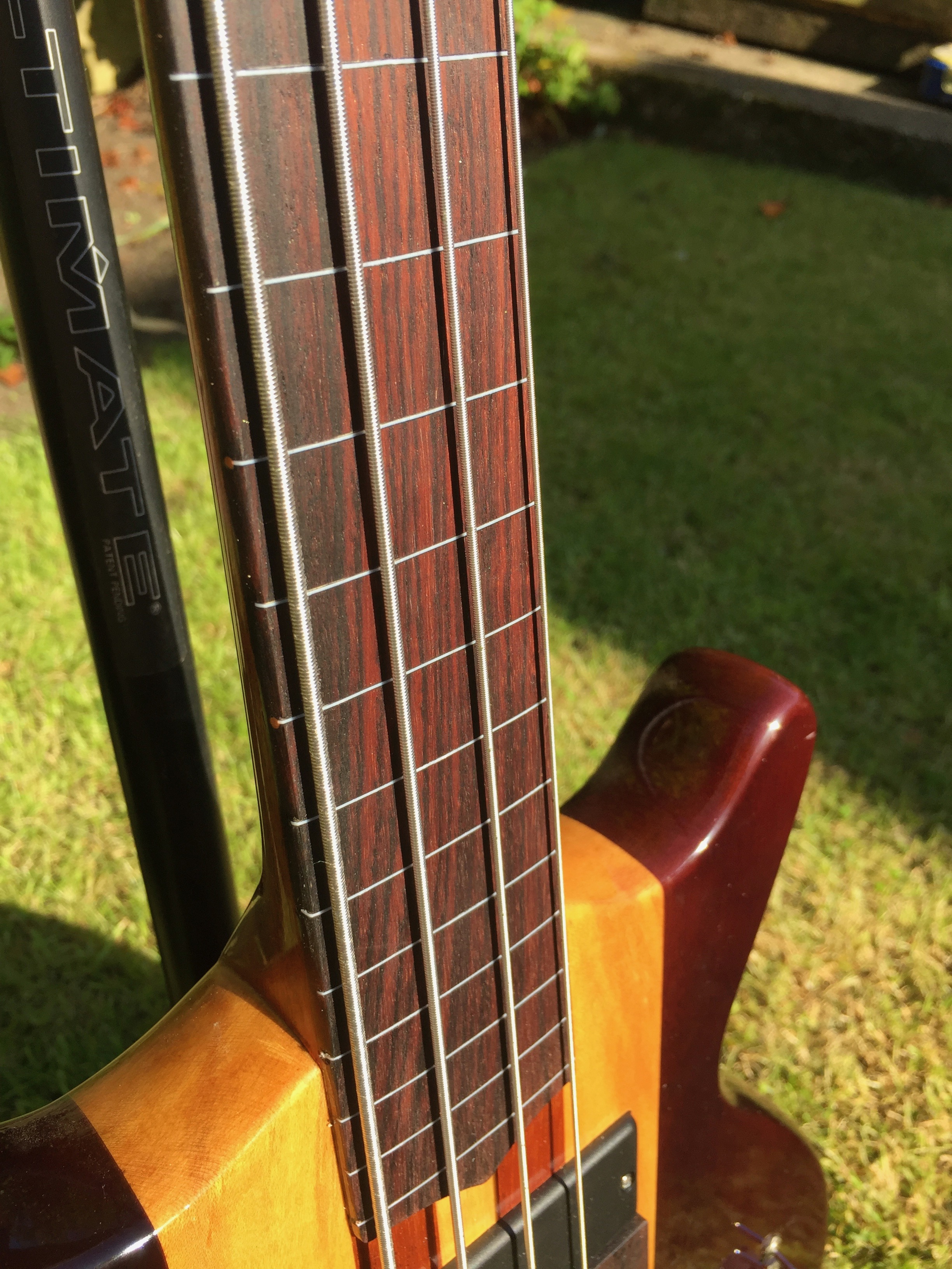 Professor B fretless bass #1