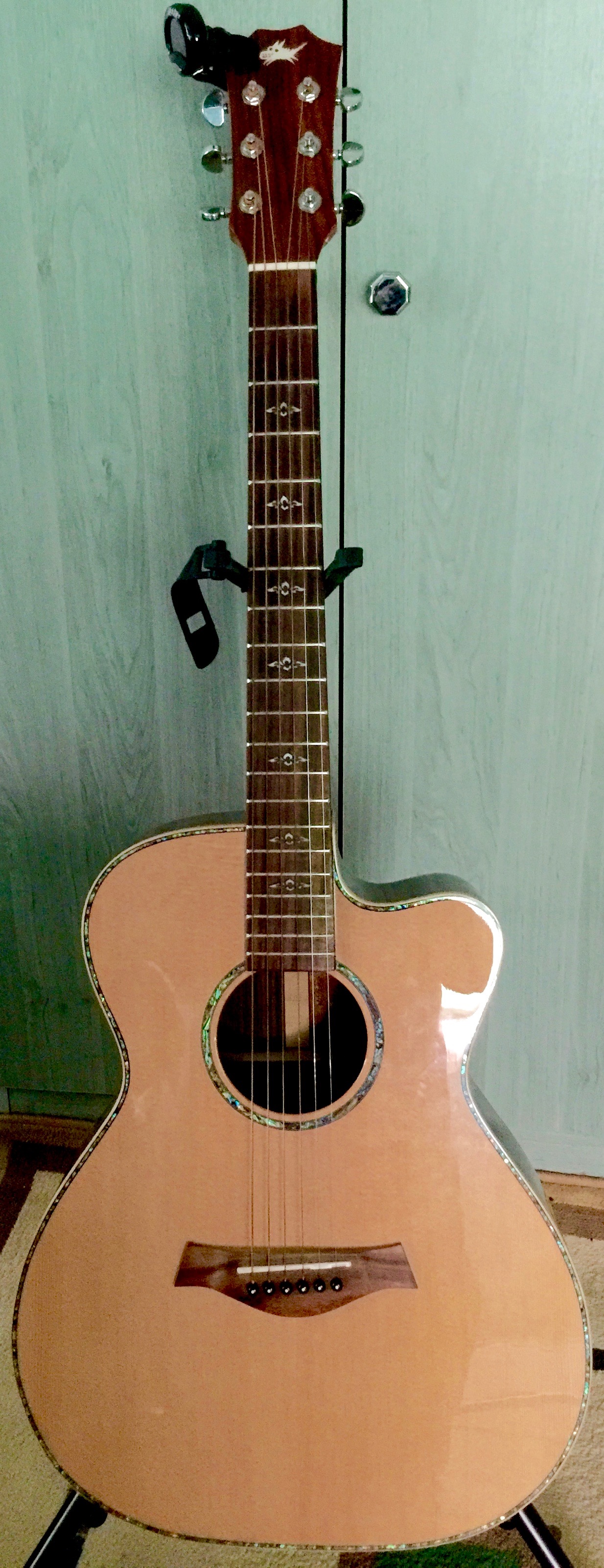 Acoustic guitar from MadDog